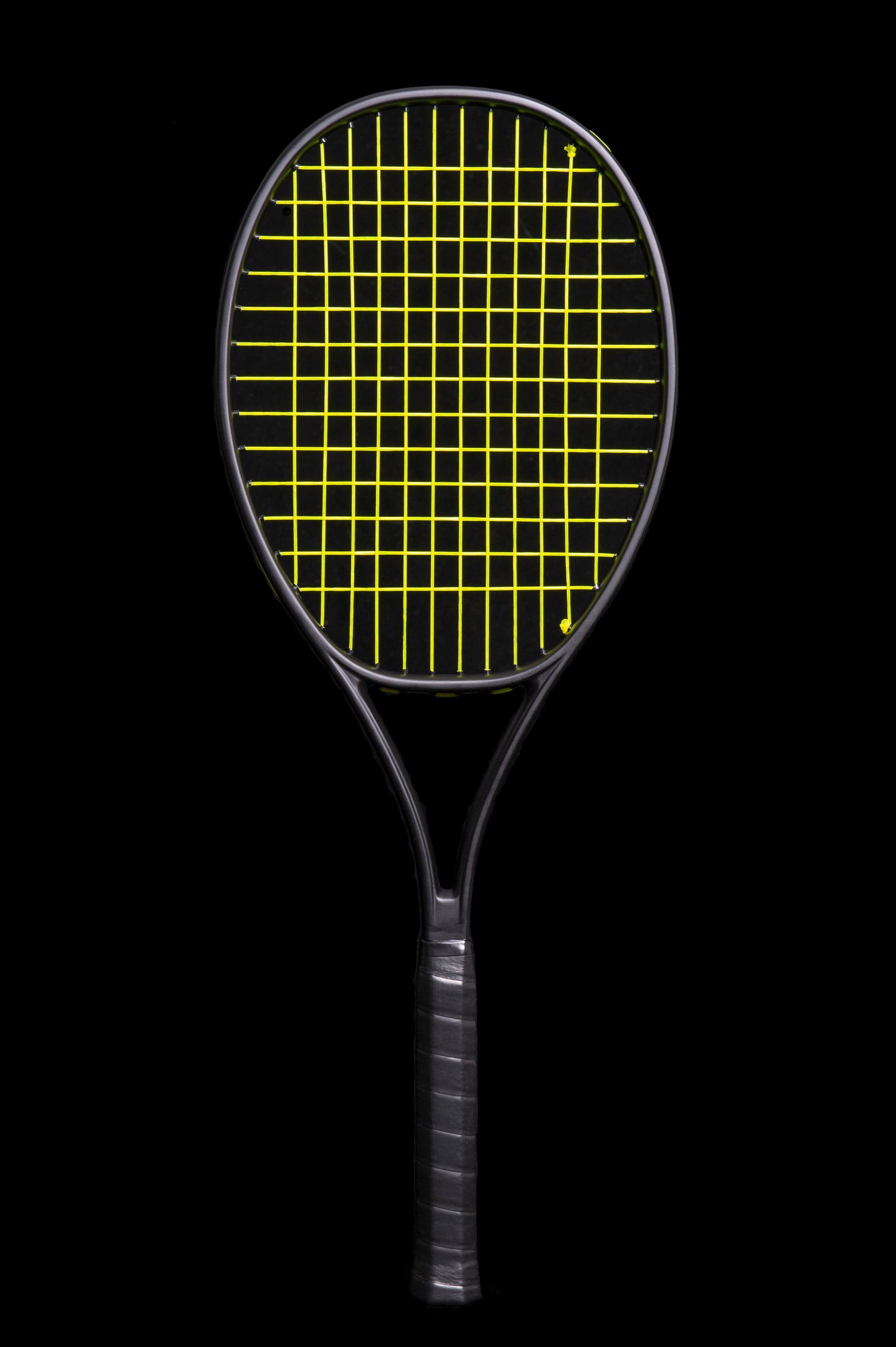 Phillips-Moore Ninja Prostock