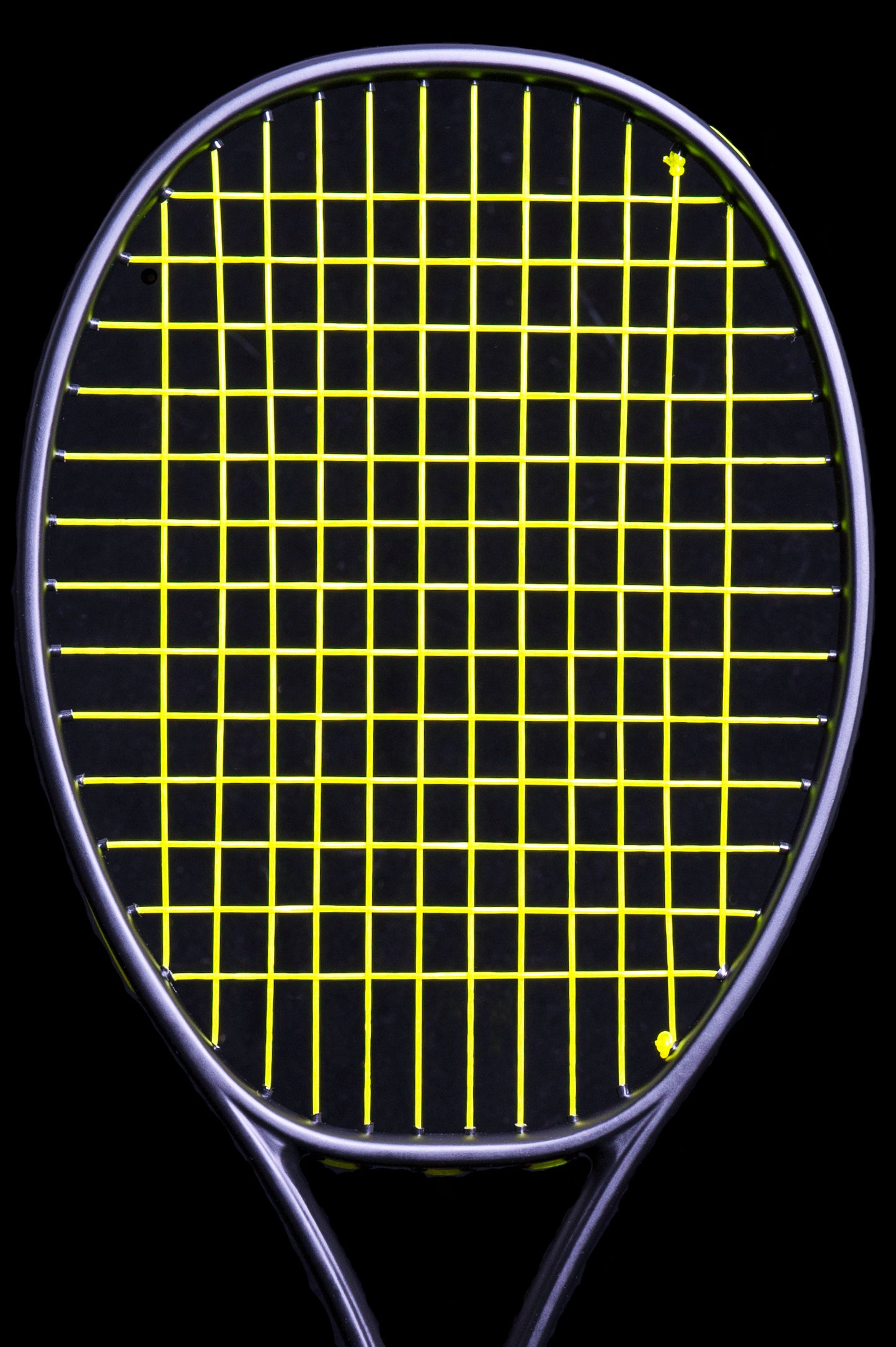 Phillips-Moore Ninja Prostock