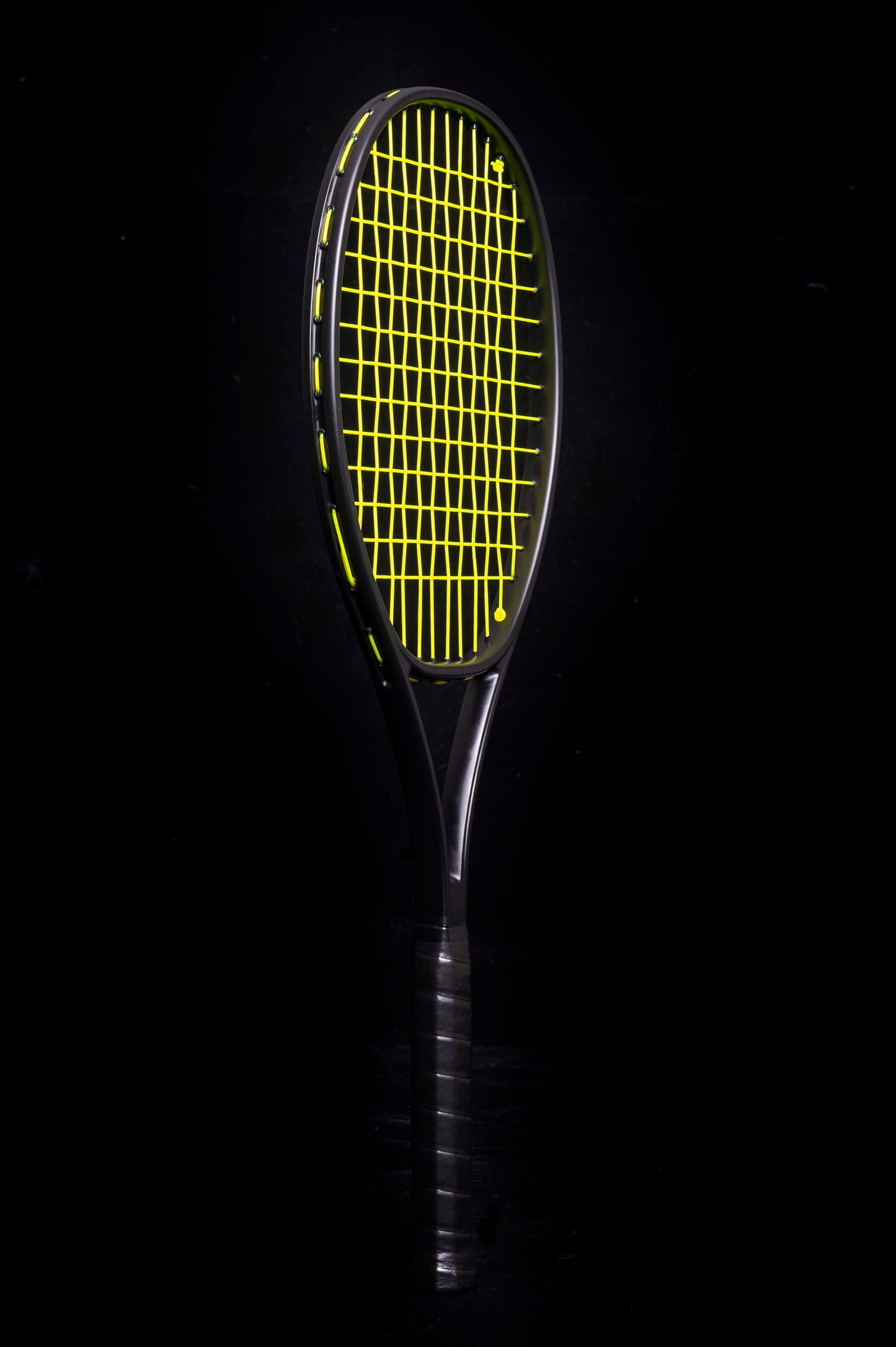 Phillips-Moore Ninja Prostock