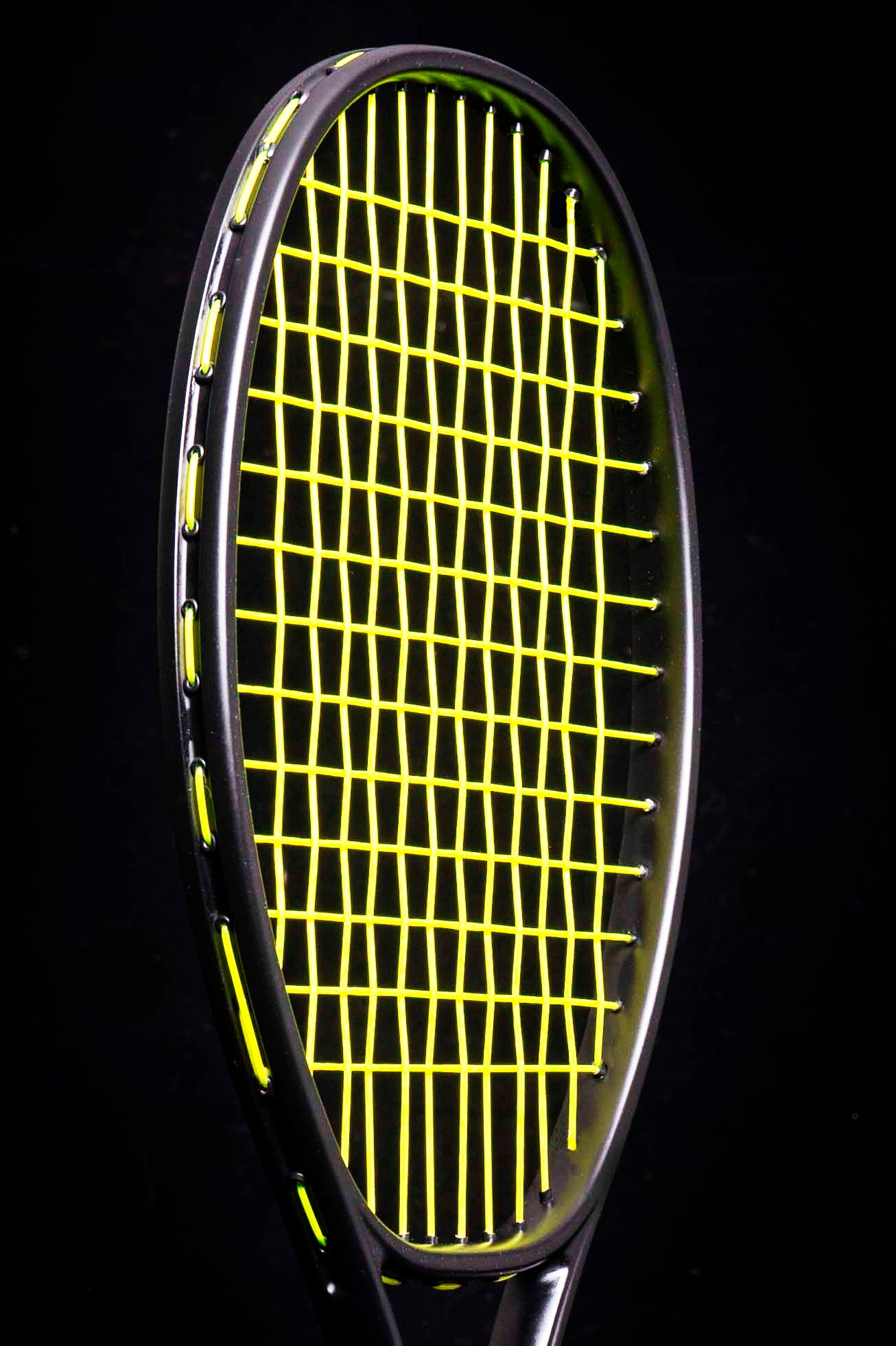 Phillips-Moore Ninja Prostock