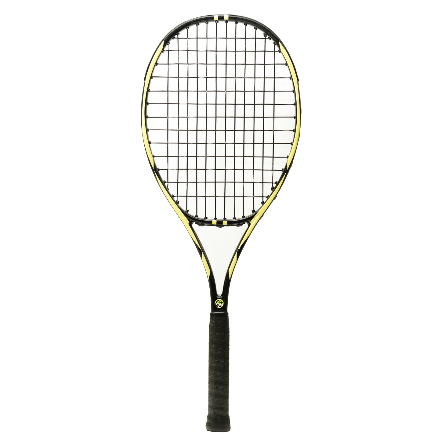Phillips-Moore Ninja 2025